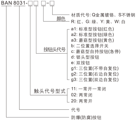 161-1.jpg