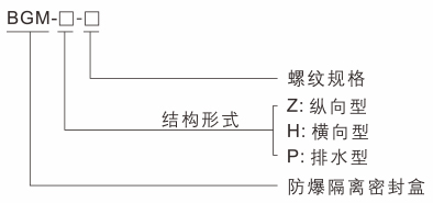 216.jpg